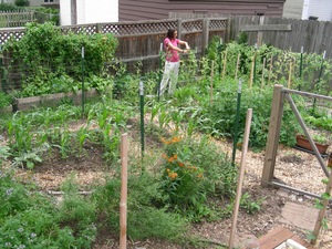 Fresh From the Urban Garden