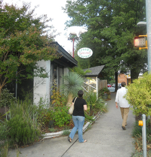 Pork, Catfish, and Bluegrass in Chapel Hill