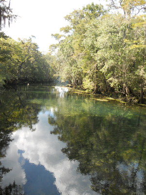 Where the Locals Eat–Manatee Springs, Florida